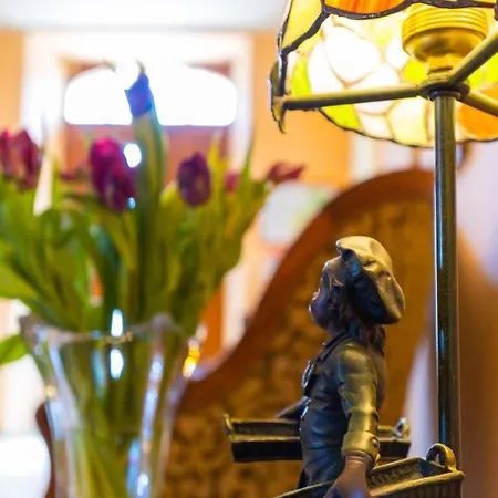 Ostal Cassinia Cassagne