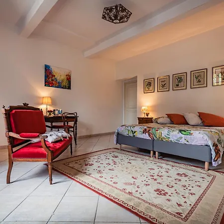 Ostal Cassinia Cassagne