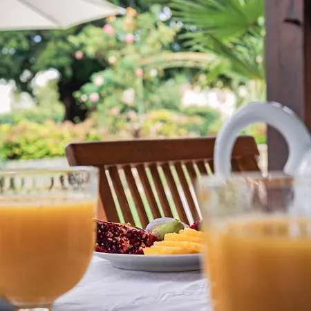 Ostal Cassinia Cassagne