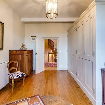 Ostal Cassinia Cassagne